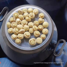 China, Champignon Mushroom in Drum, Whole, Slice